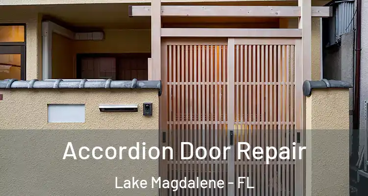  Accordion Door Repair Lake Magdalene - FL