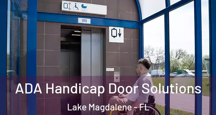  ADA Handicap Door Solutions Lake Magdalene - FL