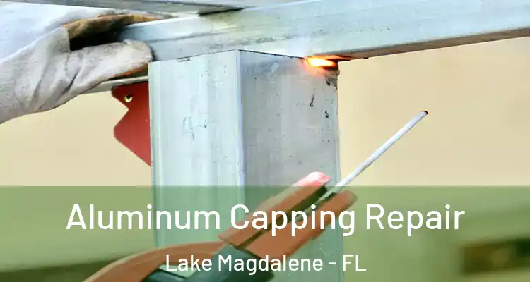  Aluminum Capping Repair Lake Magdalene - FL
