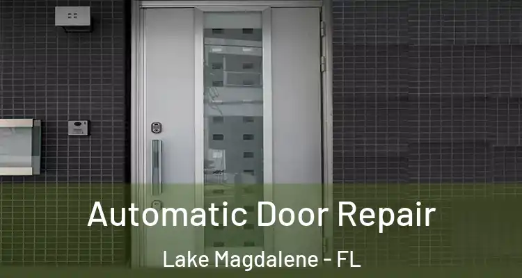  Automatic Door Repair Lake Magdalene - FL