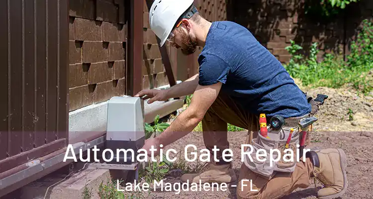  Automatic Gate Repair Lake Magdalene - FL