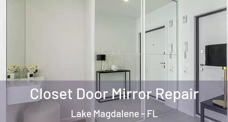  Closet Door Mirror Repair Lake Magdalene - FL