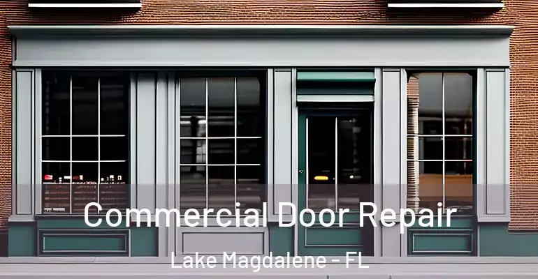  Commercial Door Repair Lake Magdalene - FL