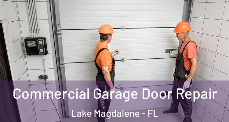  Commercial Garage Door Repair Lake Magdalene - FL