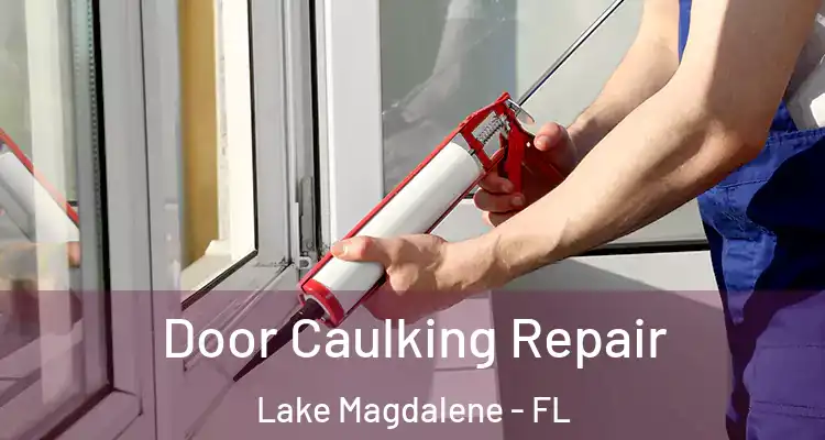  Door Caulking Repair Lake Magdalene - FL