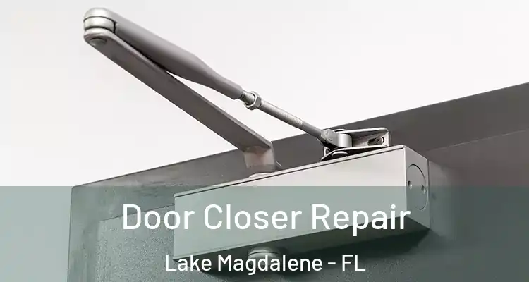  Door Closer Repair Lake Magdalene - FL