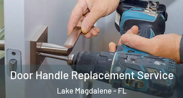  Door Handle Replacement Service Lake Magdalene - FL