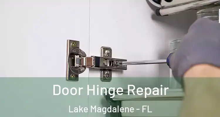  Door Hinge Repair Lake Magdalene - FL