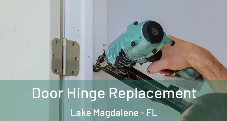  Door Hinge Replacement Lake Magdalene - FL
