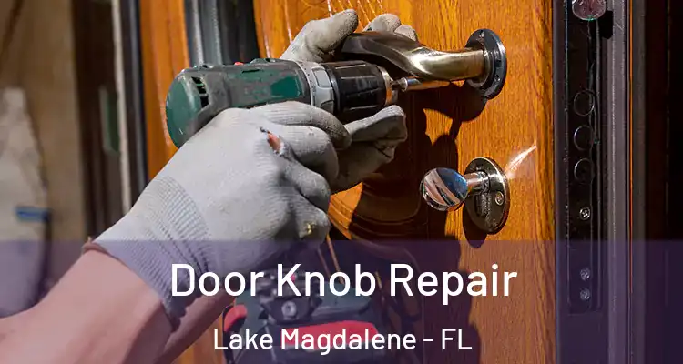  Door Knob Repair Lake Magdalene - FL