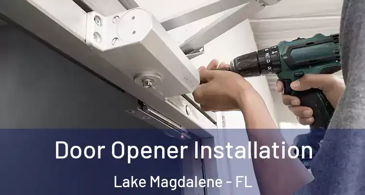  Door Opener Installation Lake Magdalene - FL