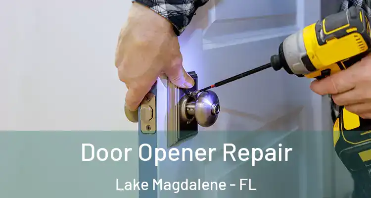  Door Opener Repair Lake Magdalene - FL