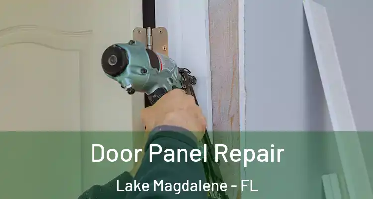  Door Panel Repair Lake Magdalene - FL