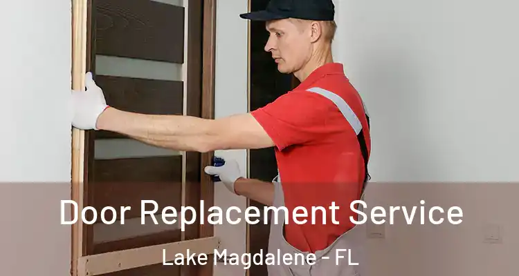  Door Replacement Service Lake Magdalene - FL