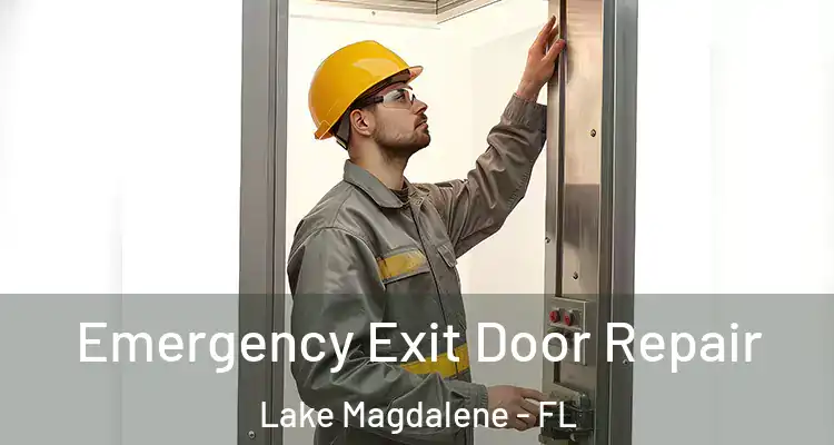  Emergency Exit Door Repair Lake Magdalene - FL