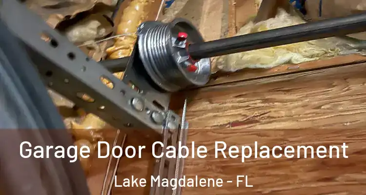  Garage Door Cable Replacement Lake Magdalene - FL