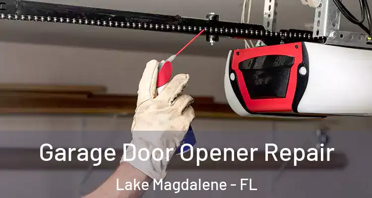  Garage Door Opener Repair Lake Magdalene - FL
