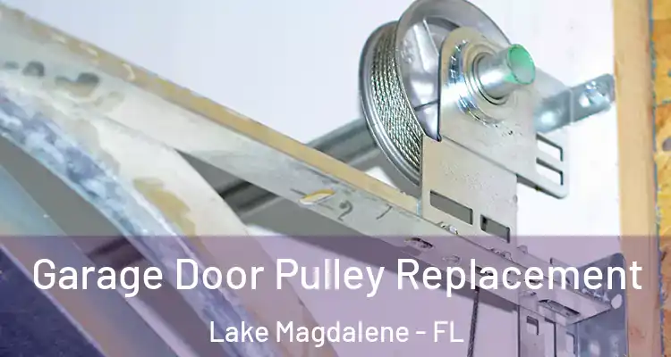  Garage Door Pulley Replacement Lake Magdalene - FL