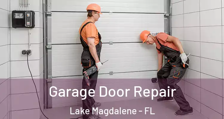 Garage Door Repair Lake Magdalene - FL