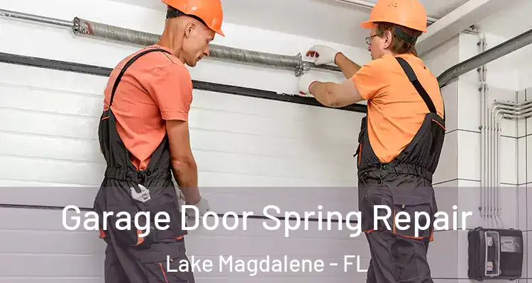  Garage Door Spring Repair Lake Magdalene - FL