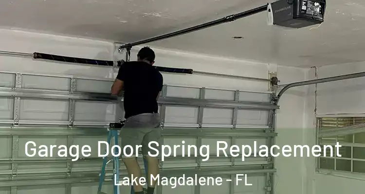  Garage Door Spring Replacement Lake Magdalene - FL