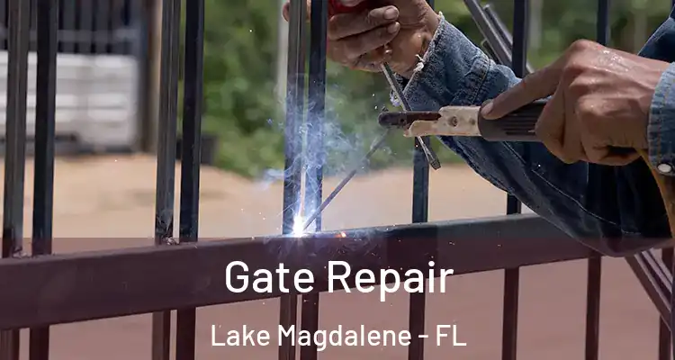  Gate Repair Lake Magdalene - FL