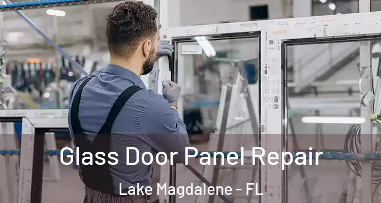  Glass Door Panel Repair Lake Magdalene - FL
