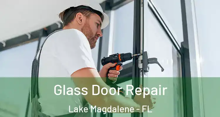  Glass Door Repair Lake Magdalene - FL