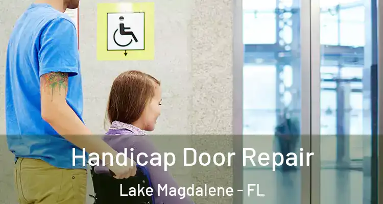  Handicap Door Repair Lake Magdalene - FL