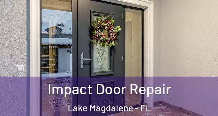  Impact Door Repair Lake Magdalene - FL