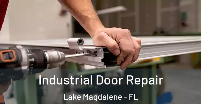 Industrial Door Repair Lake Magdalene - FL