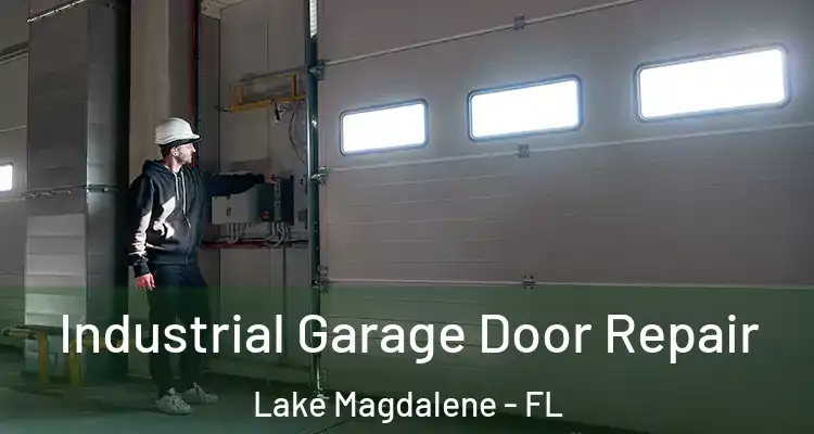  Industrial Garage Door Repair Lake Magdalene - FL