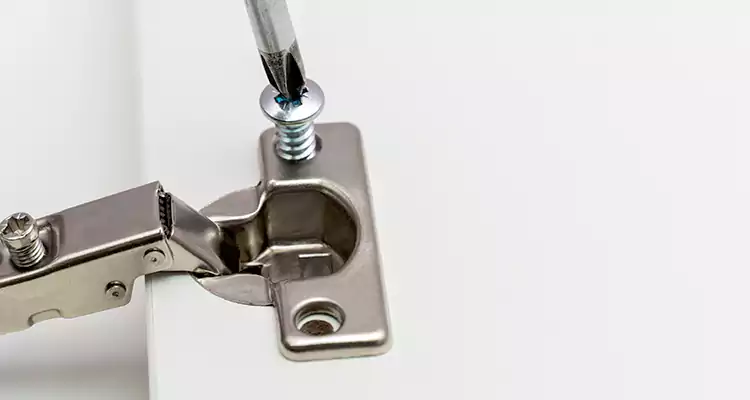 Screen Door Hinge Repair in Lake Magdalene, FL