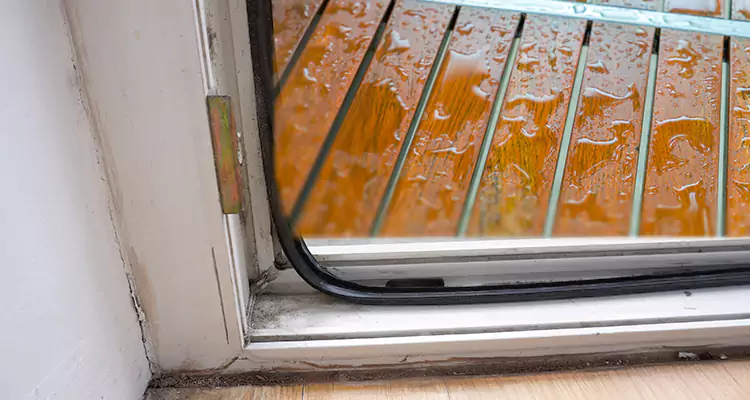 Water Leaking Wooden Patio Doors Repair in Lake Magdalene, FL
