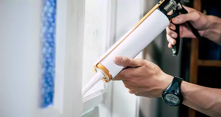 Windows Leaking Air Repair in Lake Magdalene, FL