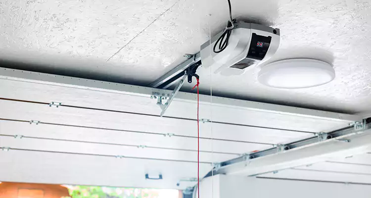 LiftMaster Garage Door Repair in Lake Magdalene, FL