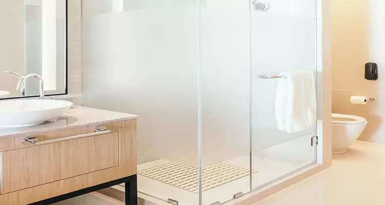 Expert Shower Door Fix and Repair in Lake Magdalene, FL