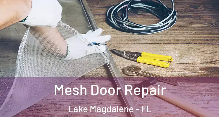  Mesh Door Repair Lake Magdalene - FL