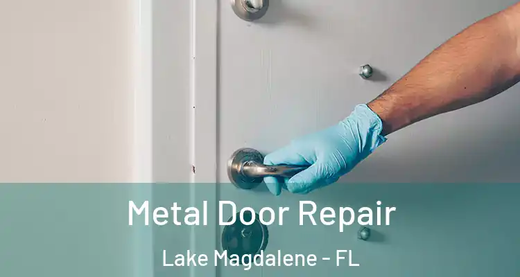 Metal Door Repair Lake Magdalene - FL