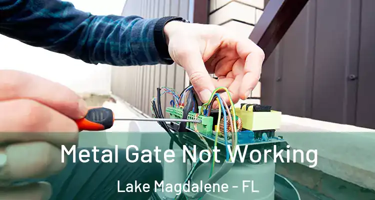  Metal Gate Not Working Lake Magdalene - FL