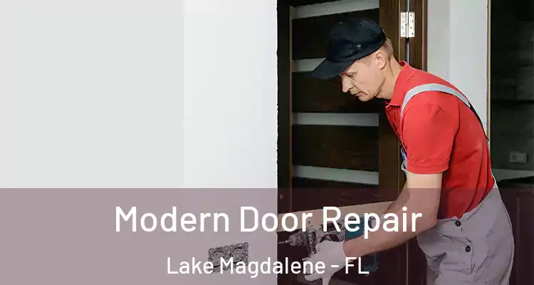  Modern Door Repair Lake Magdalene - FL