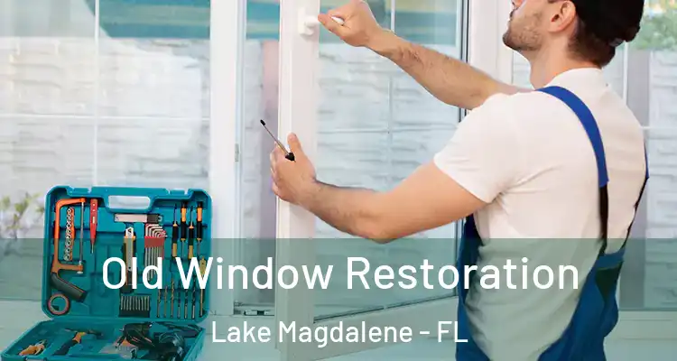  Old Window Restoration Lake Magdalene - FL