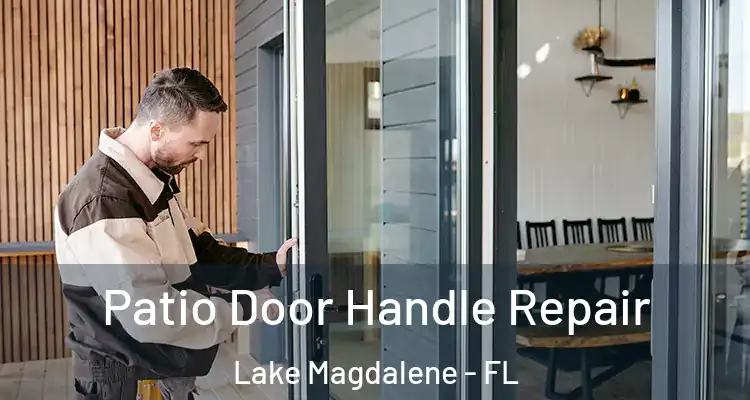  Patio Door Handle Repair Lake Magdalene - FL