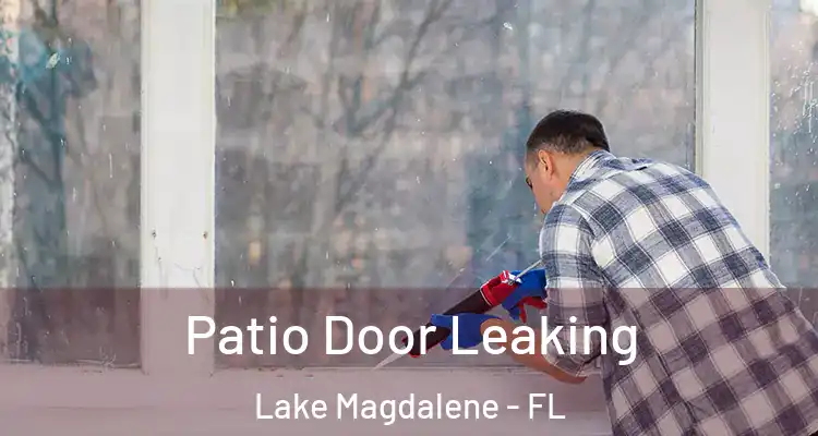  Patio Door Leaking Lake Magdalene - FL