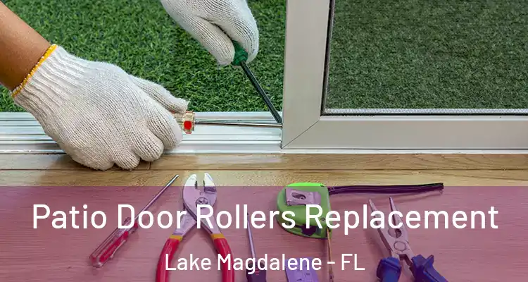 Patio Door Rollers Replacement Lake Magdalene - FL