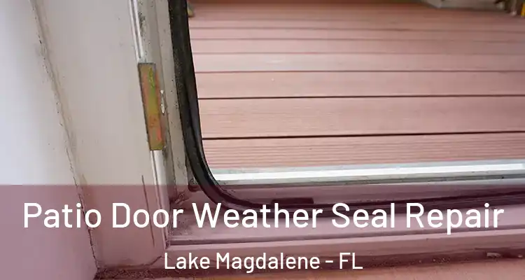  Patio Door Weather Seal Repair Lake Magdalene - FL