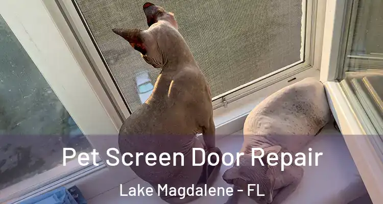 Pet Screen Door Repair Lake Magdalene - FL