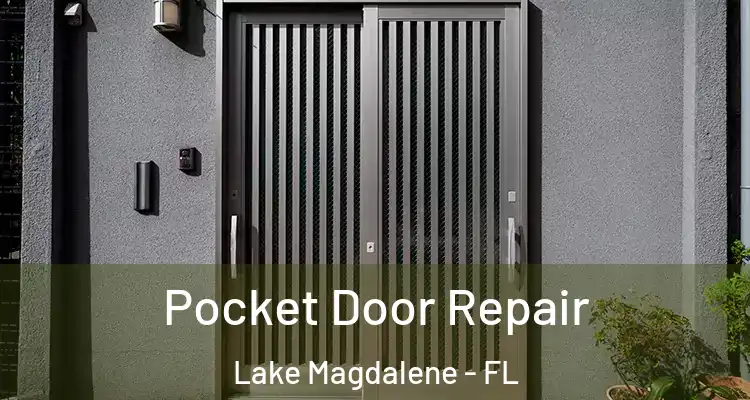  Pocket Door Repair Lake Magdalene - FL