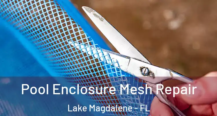  Pool Enclosure Mesh Repair Lake Magdalene - FL