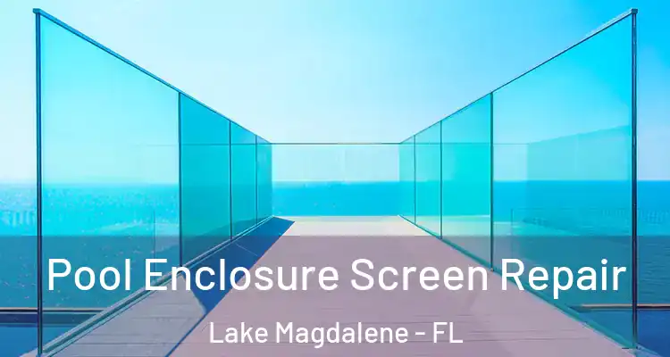  Pool Enclosure Screen Repair Lake Magdalene - FL